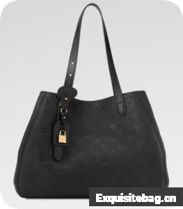 Louis Vuitton NEW All In One MM M25888 black
