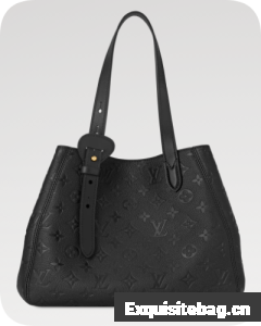 Louis Vuitton NEW All In One PM M25858 black