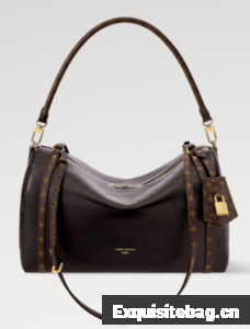 Louis Vuitton NEW Express MM M26359 Saga&Acajou