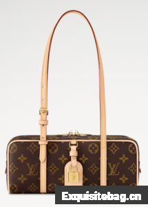 Louis Vuitton NEW Hang On M47031 brown