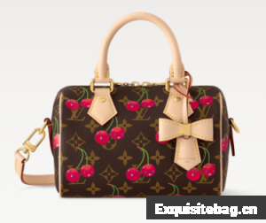 Louis Vuitton NEW LV x TM Speedy Bandouliere 20 M13094