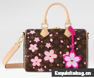 Louis Vuitton NEW LV x TM Speedy Bandouliere 25 M14174