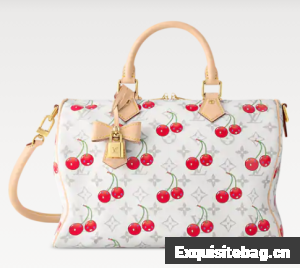 Louis Vuitton NEW LV x TM Speedy Soft Bandouliere 30 M14238