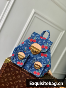 Louis Vuitton NEW LV x TM Venice NM M13679