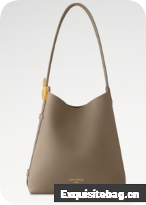 Louis Vuitton NEW Low Key Hobo PM M15205 Smoke