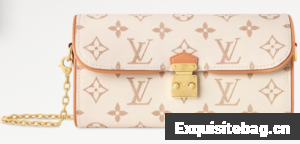 Louis Vuitton NEW Pochette Camille M26583