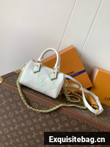 Louis Vuitton Nano Speedy M82450 Green