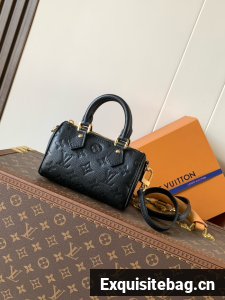 Louis Vuitton Nano Speedy M82450 black
