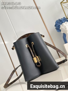 Louis Vuitton Neonoe BB M13843 black