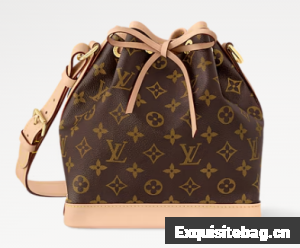 Louis Vuitton Noe BB N40594 brown