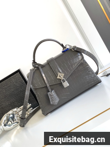 Louis Vuitton Original Leather M84713 gray&silver