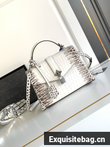 Louis Vuitton Original Leather M84713 white&silver