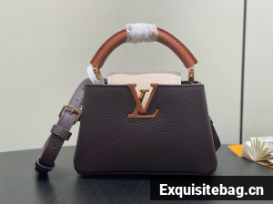Louis Vuitton Ostrich Capucines BB M11908 Chocolate & Quartz & Tan