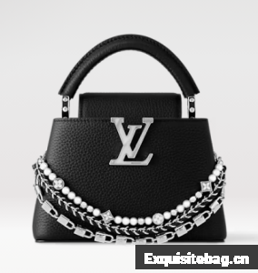 Louis Vuitton Ostrich Capucines BB M11908 black&Silver-toned