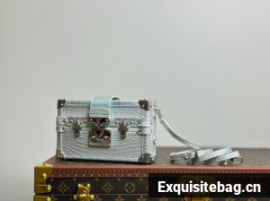 Louis Vuitton PETITE MALLE M44199-2