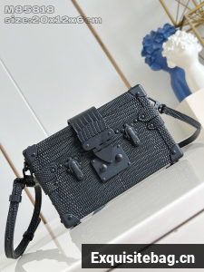 Louis Vuitton Petite Malle M85818 black