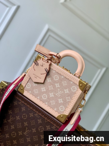 Louis Vuitton Petite Valise M14592