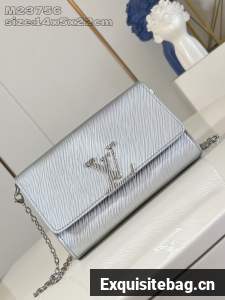 Louis Vuitton Pochette Louise M23756 Silver