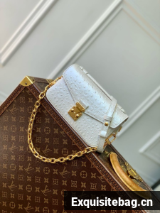 Louis Vuitton Pochette Metis East West N85902 white