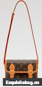 Louis Vuitton Satchel Wearable Wallet M26805