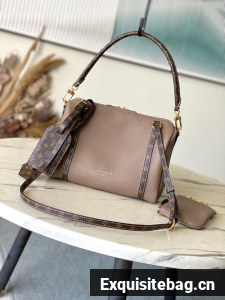 Louis Vuitton Side Trunk MM M13667 gray