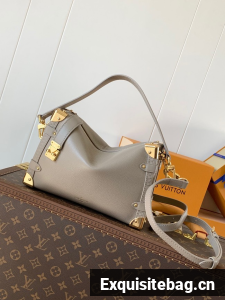 Louis Vuitton Side Trunk MM M25160 gray