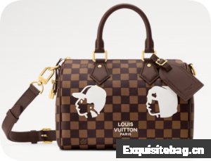 Louis Vuitton Speedy 25 Bandouliere N40772