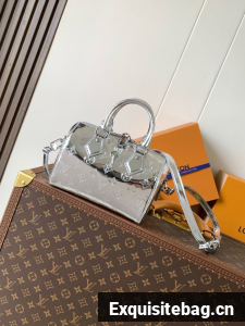 Louis Vuitton Speedy Bandouliere 20 M11987 Silver