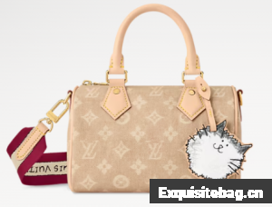 Louis Vuitton Speedy Bandouliere 20 M15151