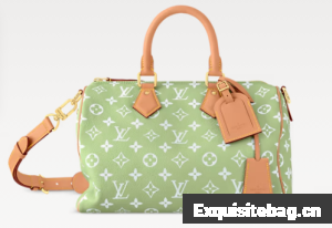 Louis Vuitton Speedy P9 Bandouliere 30 M14064 Frozen Lime