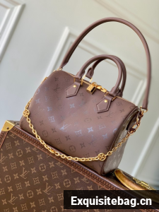 Louis Vuitton Speedy Soft 25 M26486 burgundy