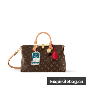 Louis Vuitton Speedy Soft 30 Crafty M11945