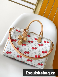 Louis Vuitton Speedy Soft 30 M14328