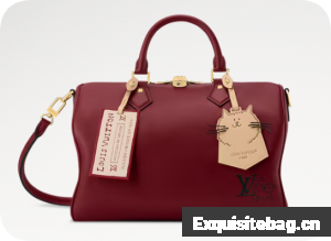 Louis Vuitton Speedy Soft 30 M25766 Plum