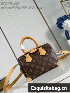 Louis Vuitton Speedy Trunk 20 M13146