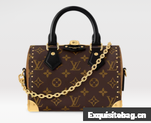 Louis Vuitton Speedy Trunk 20 M13146 black