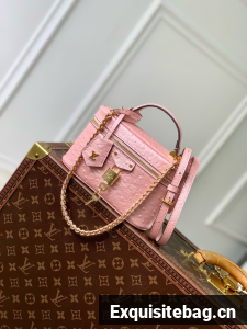 Louis Vuitton Vanity PM M25123 pink