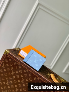 Louis Vuitton Wallet M14111 blue