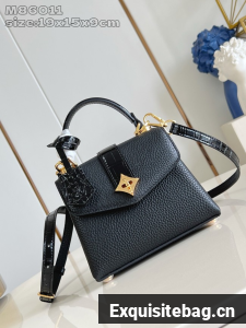 Louis Vuitton small Grained Calfskin M86011 black