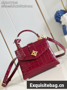 Louis Vuitton small M86011 red