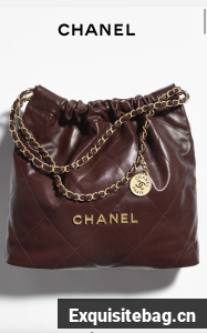 CHANEL 22 MINI HANDBAG AS3260 Dark Brown