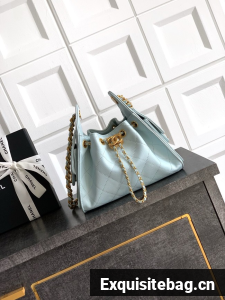 CHANEL 25 MINI HANDBAG AS5631 light blue
