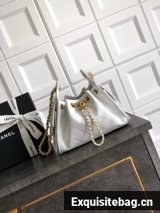 CHANEL 25 MINI HANDBAG AS5631 white