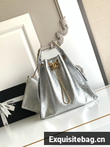 CHANEL 25 Medium Handbag AS5311 Silvery