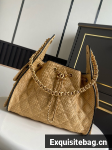 CHANEL 25 Small Handbag Printed Fabric AS5293 brown