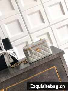 CHANEL 26C Vanity with Chain AP3940 gray