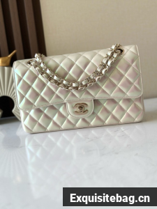 CHANEL Classic 11.12 handbag Sheepskin A01112-11