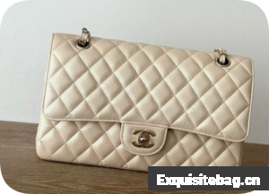 CHANEL Classic 11.12 handbag A01112-3