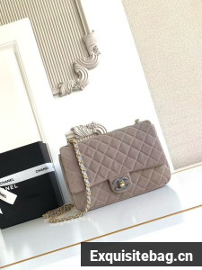 CHANEL Classic Handbag AS5991 gray