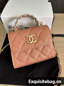 CHANEL Clutch With Chain 96183 dark pink